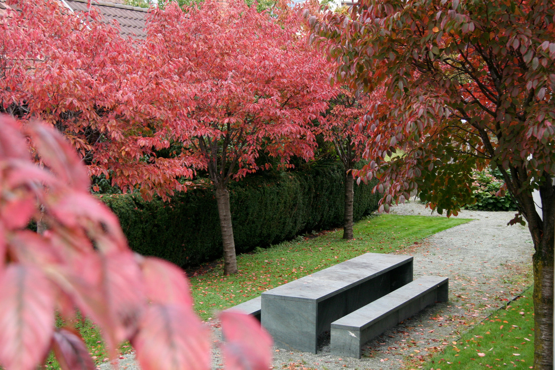 Ein Foto von Barbara Bacher