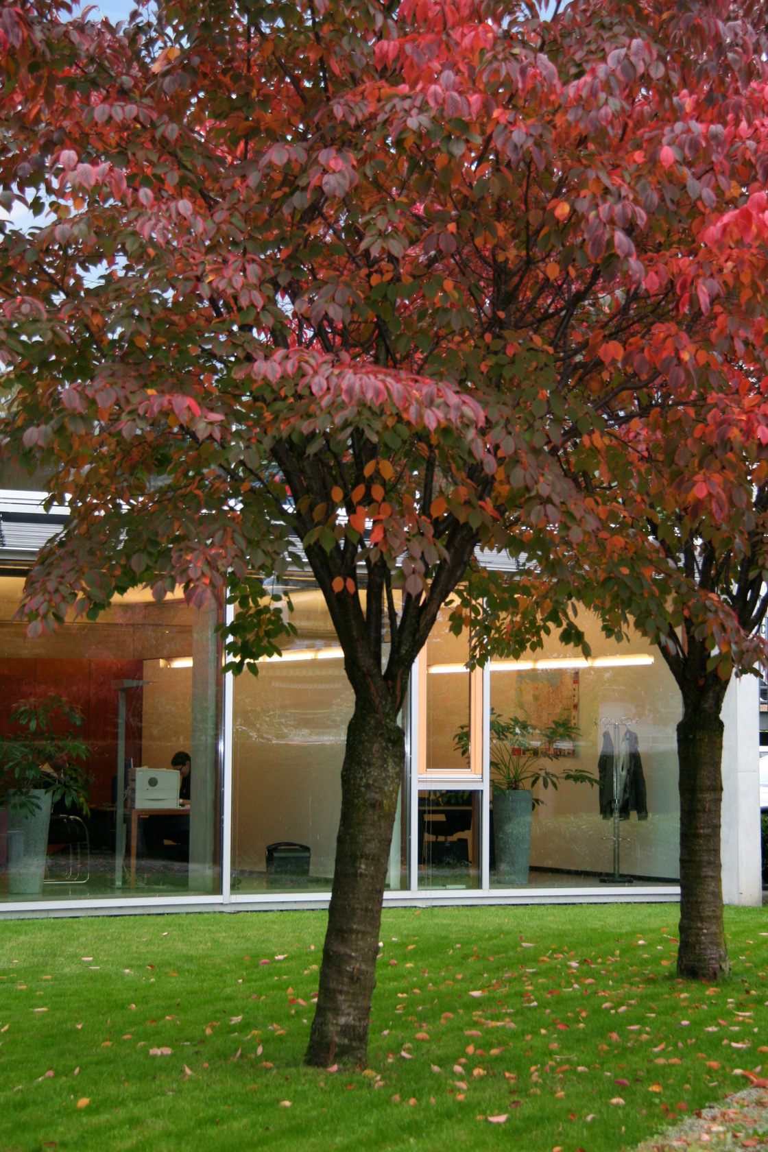 Ein Foto von Barbara Bacher