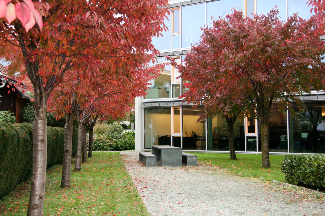 Ein Foto von Barbara Bacher