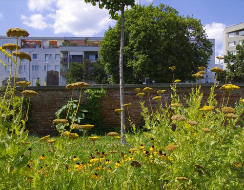 Ein Foto von Wolfgang Leeb