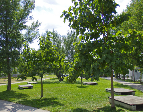 Ein Foto von Wolfgang Leeb