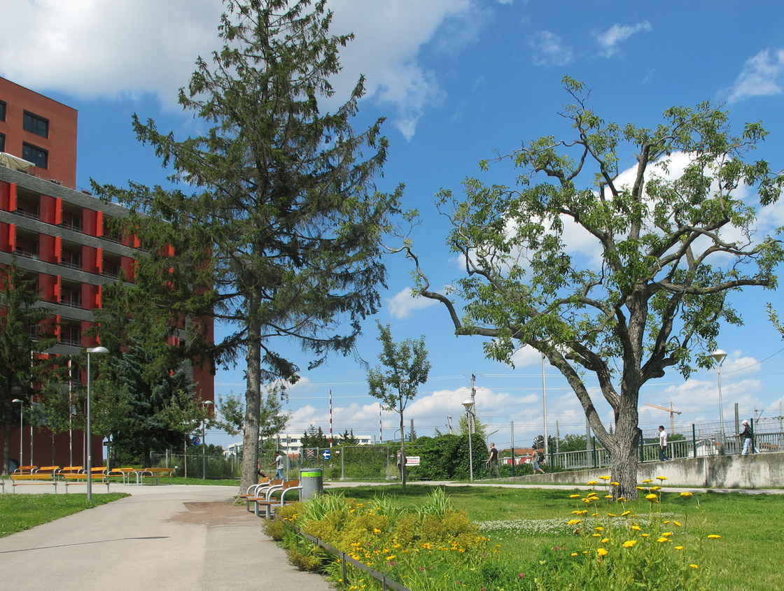 Ein Foto von Wolfgang Leeb