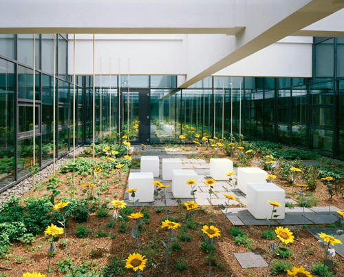 Ein Foto von Alexander Eugen Koller