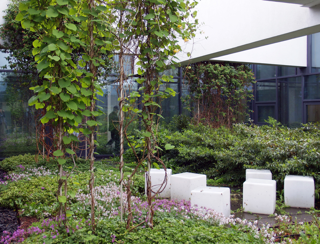 Ein Foto von Liz Zimmermann