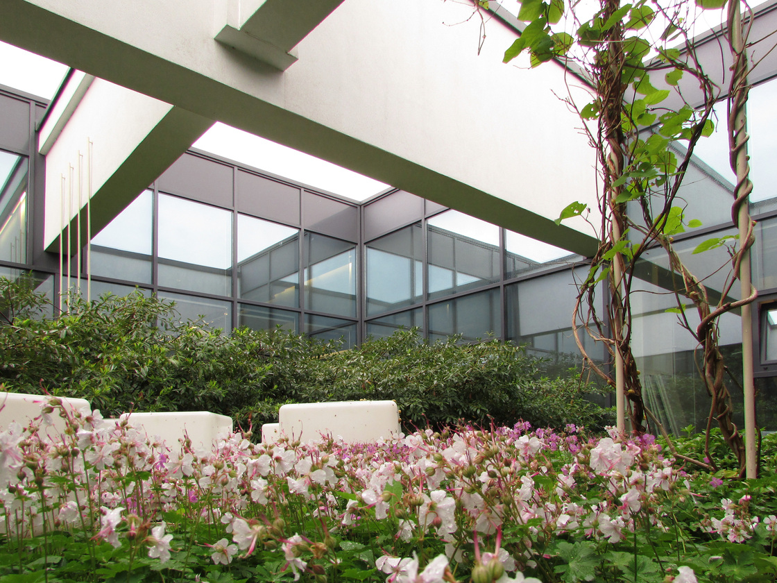 Ein Foto von Liz Zimmermann