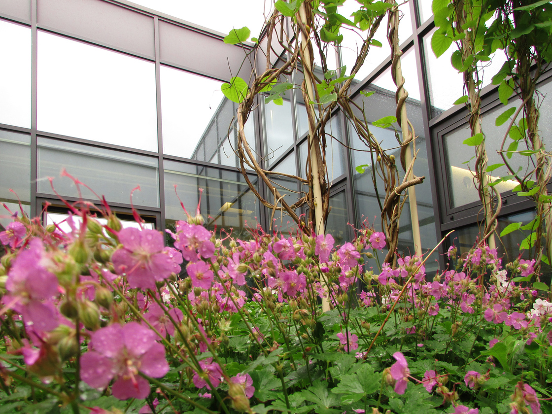 Ein Foto von Liz Zimmermann