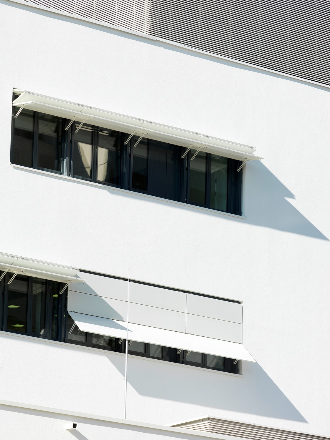 Ein Foto von Paul Ott