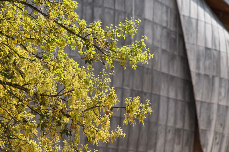 Ein Foto von Matteo Rossi