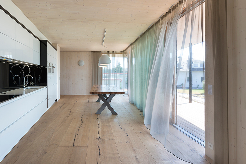 Ein Foto von Violetta Wakolbinger