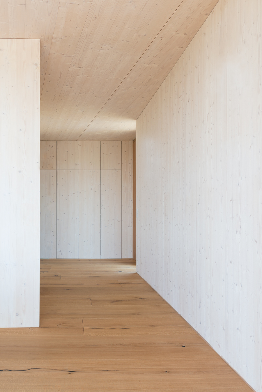 Ein Foto von Violetta Wakolbinger