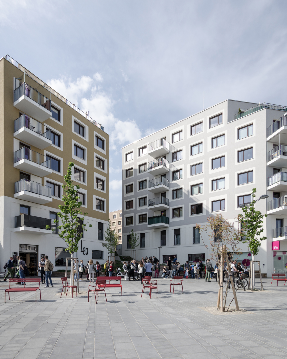 Ein Foto von tschinkersten