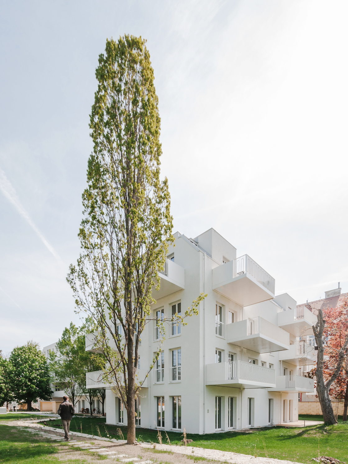 Ein Foto von Guilherme Silva Da Rosa