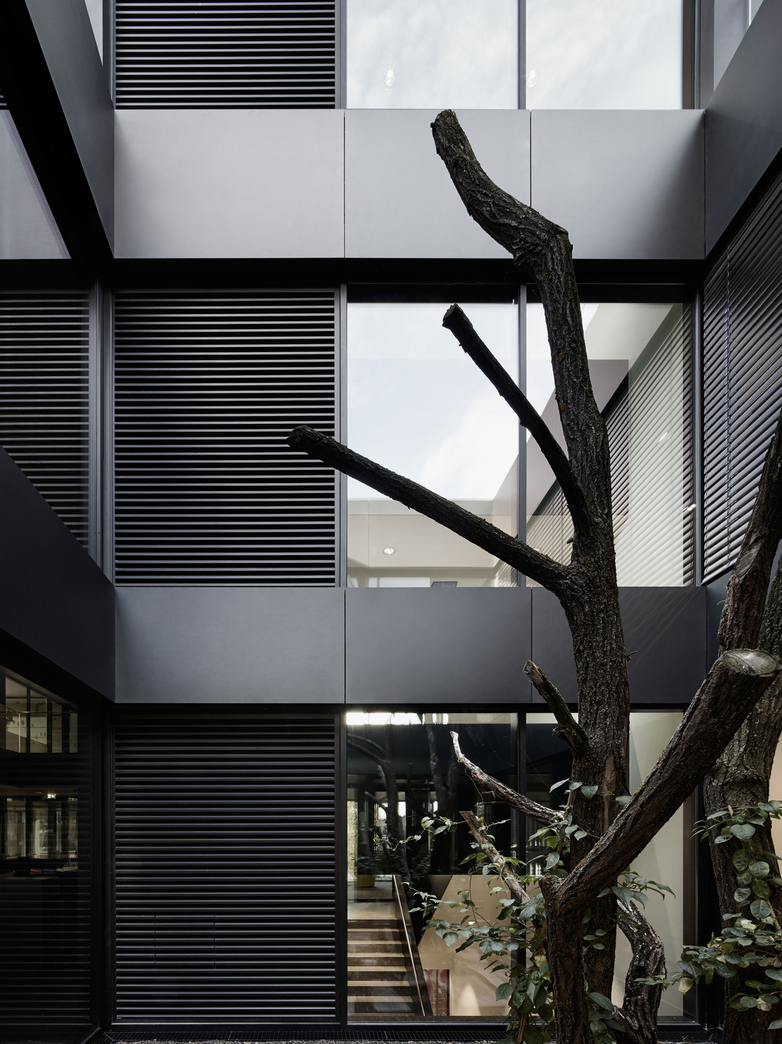 Ein Foto von Adolf Bereuter