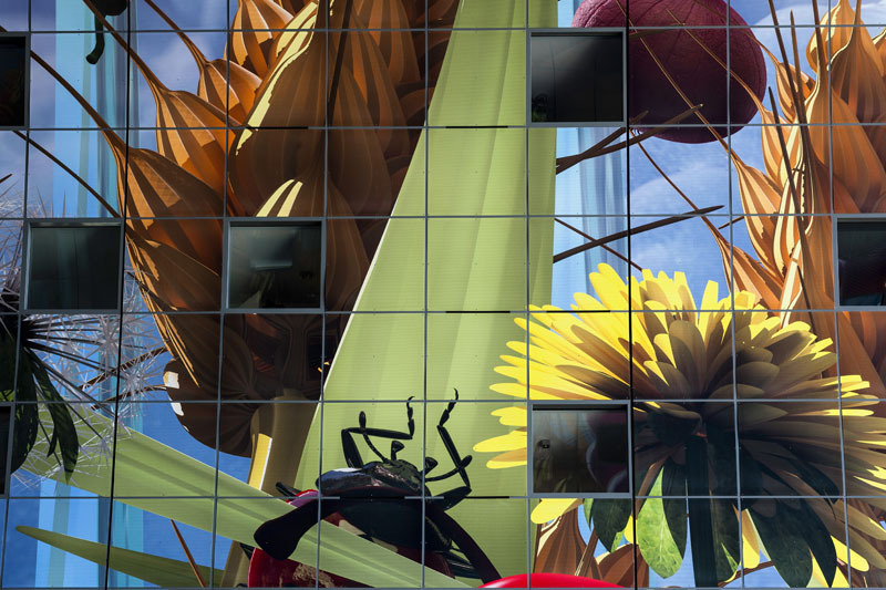 Ein Foto von Iñigo Bujedo-Aguirre