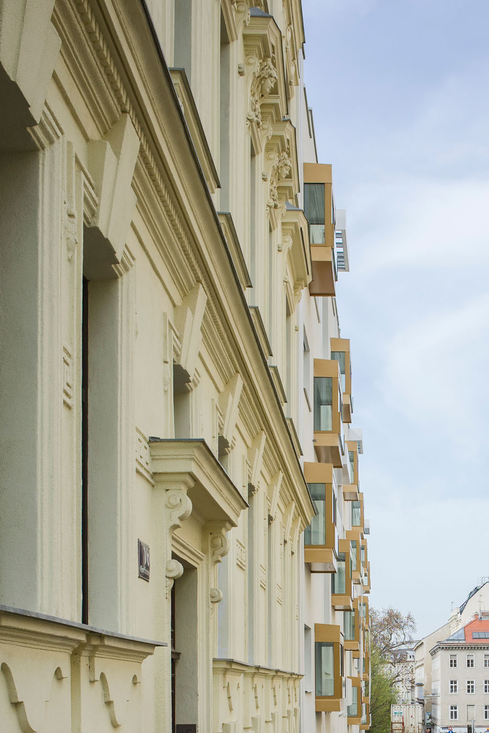 Ein Foto von Maximilian Haidacher