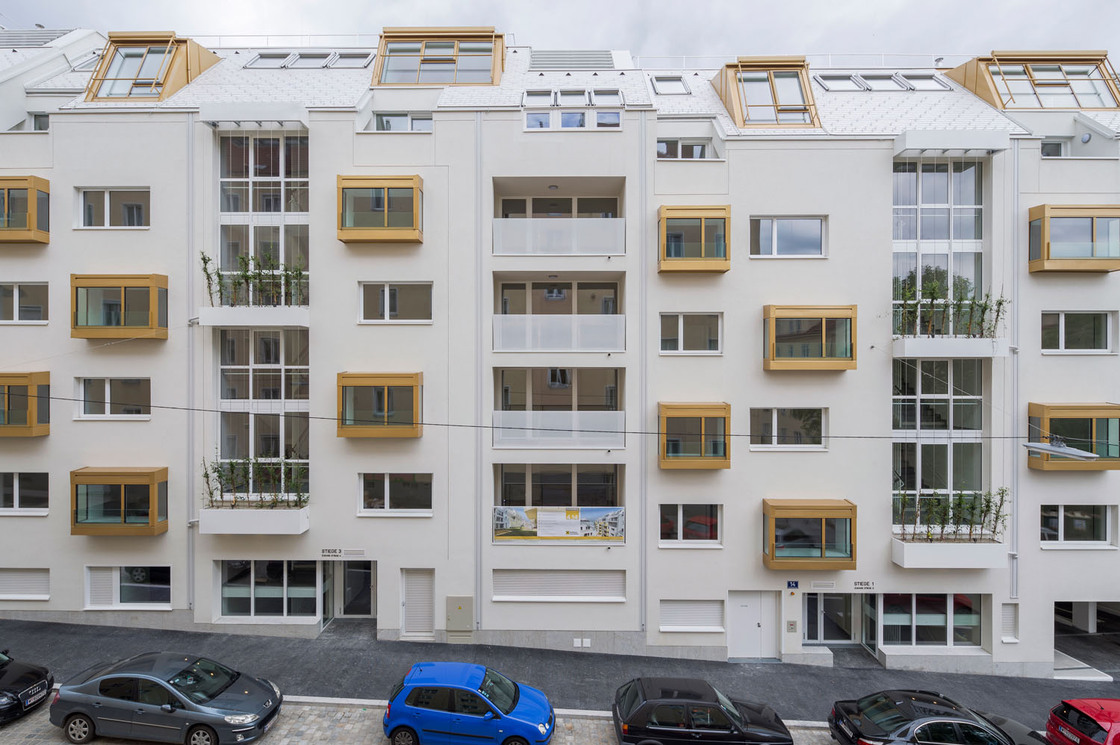 Ein Foto von Maximilian Haidacher