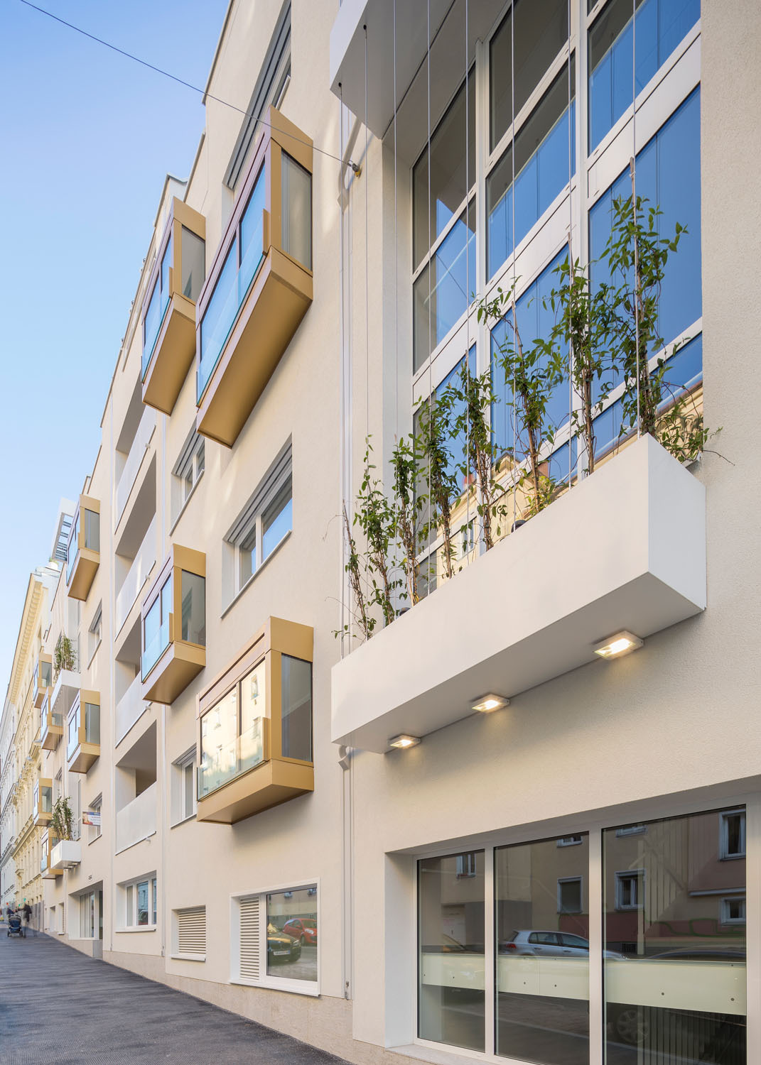 Ein Foto von Maximilian Haidacher