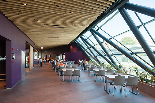 Ein Foto von Rupert Steiner