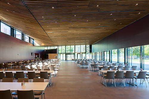 Ein Foto von Rupert Steiner