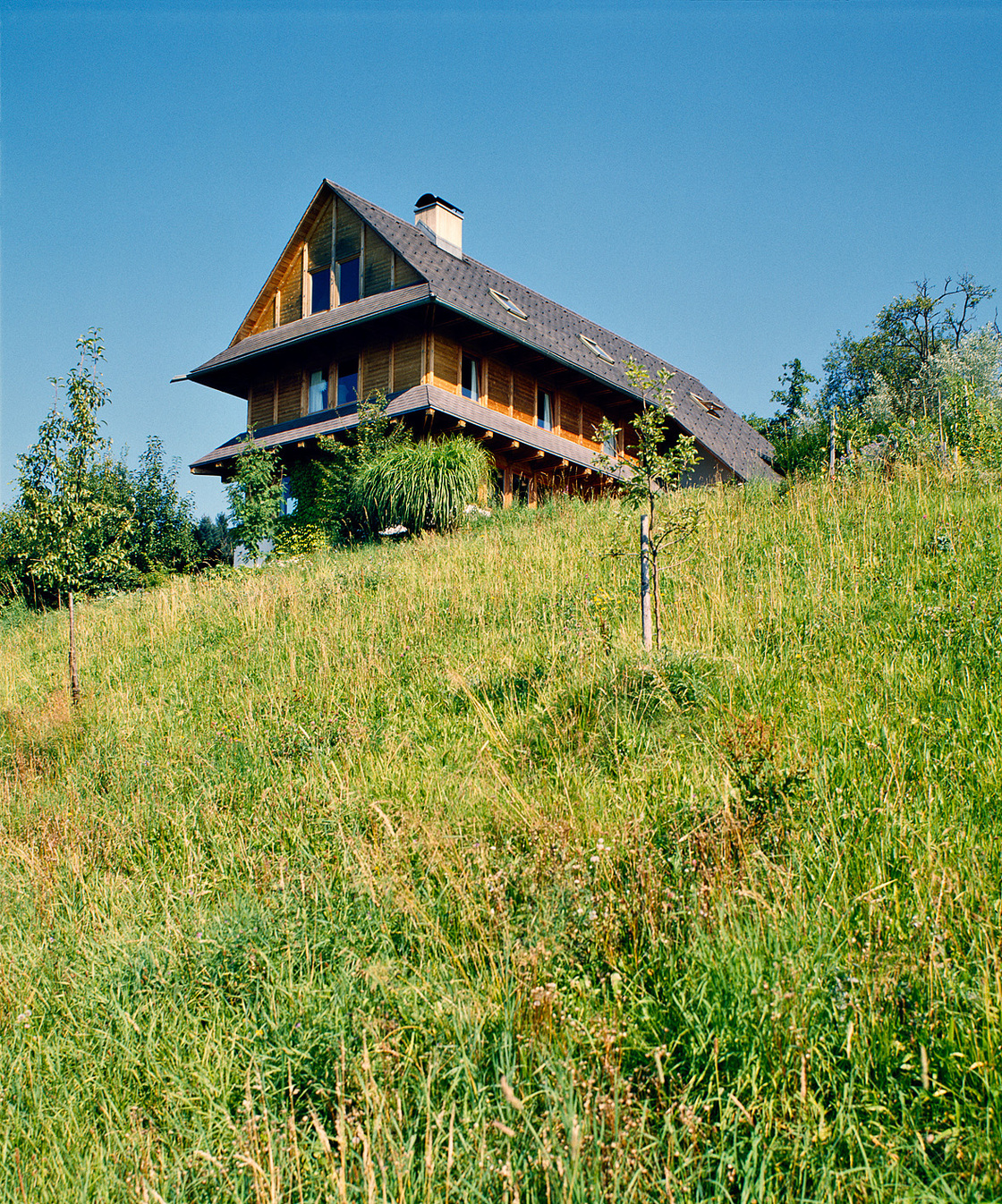 Ein Foto von Margherita Spiluttini