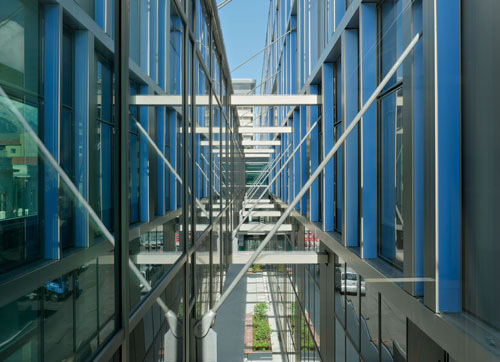 Ein Foto von Angelo Kaunat