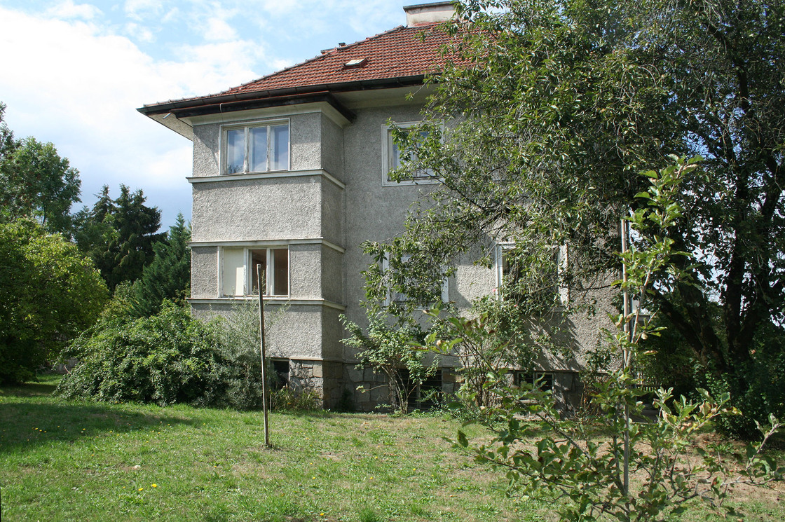 Ein Foto von Violetta Wakolbinger