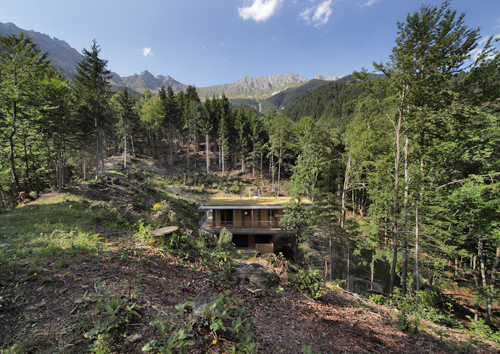 Ein Foto von Birgit Koell