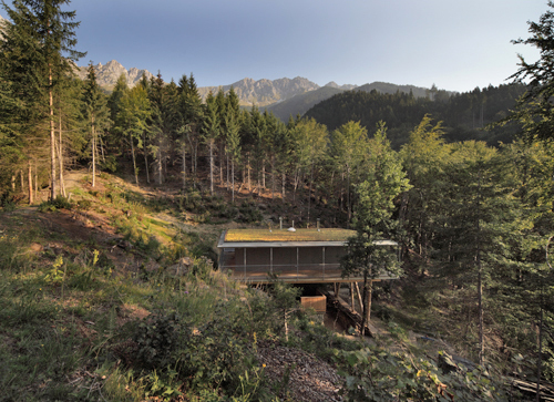 Ein Foto von Birgit Koell