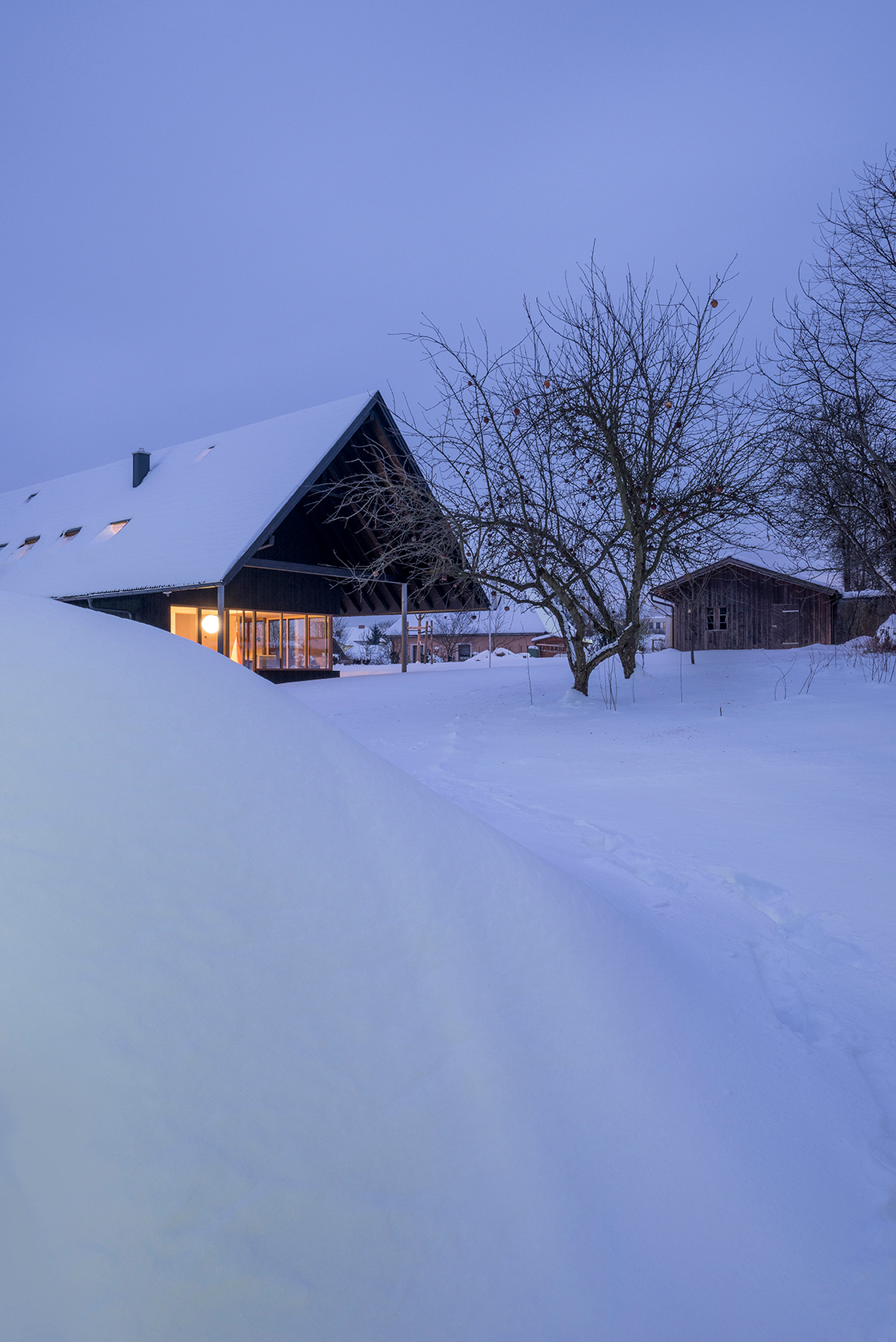 Ein Foto von Violetta Wakolbinger