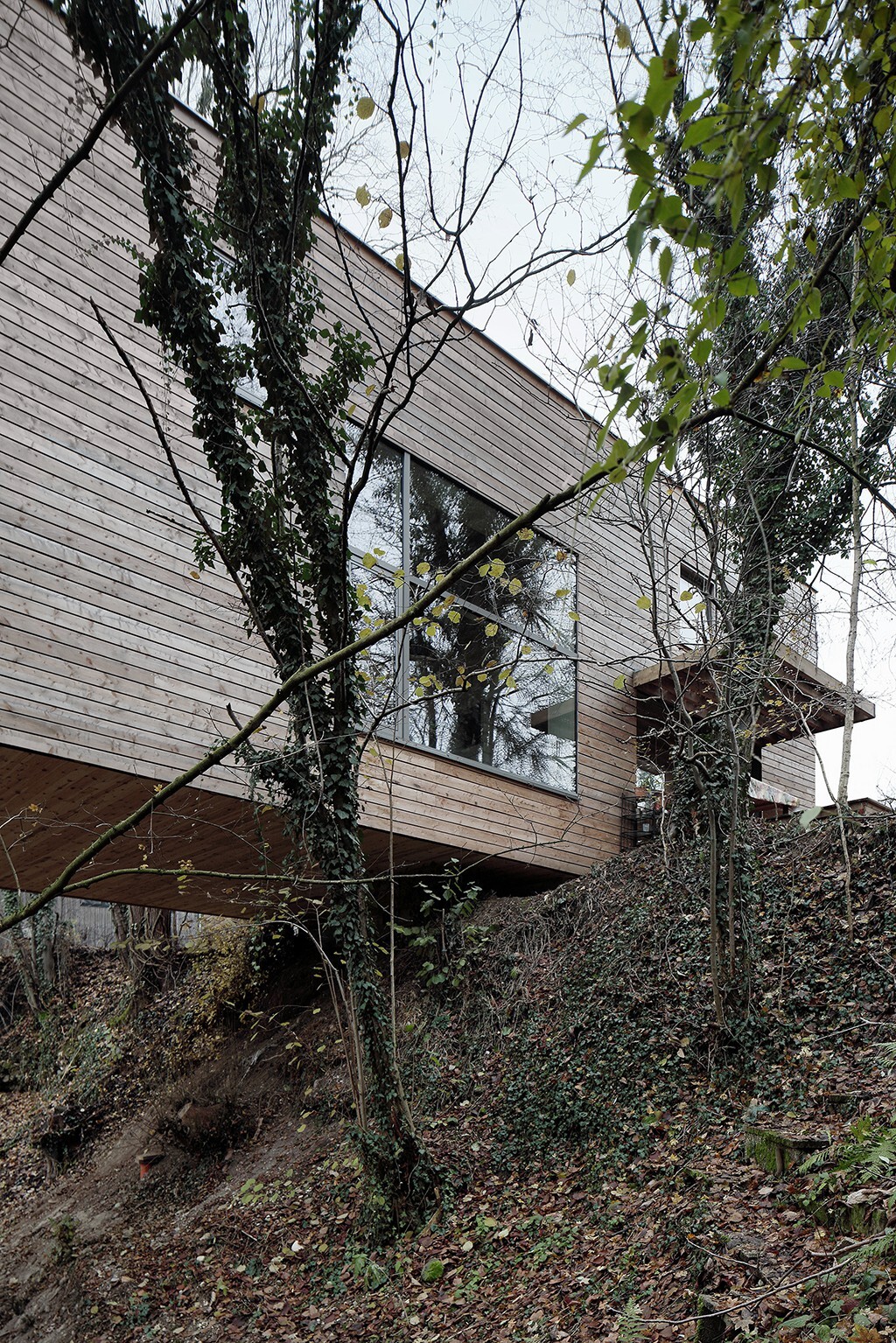 Ein Foto von Gregor Graf