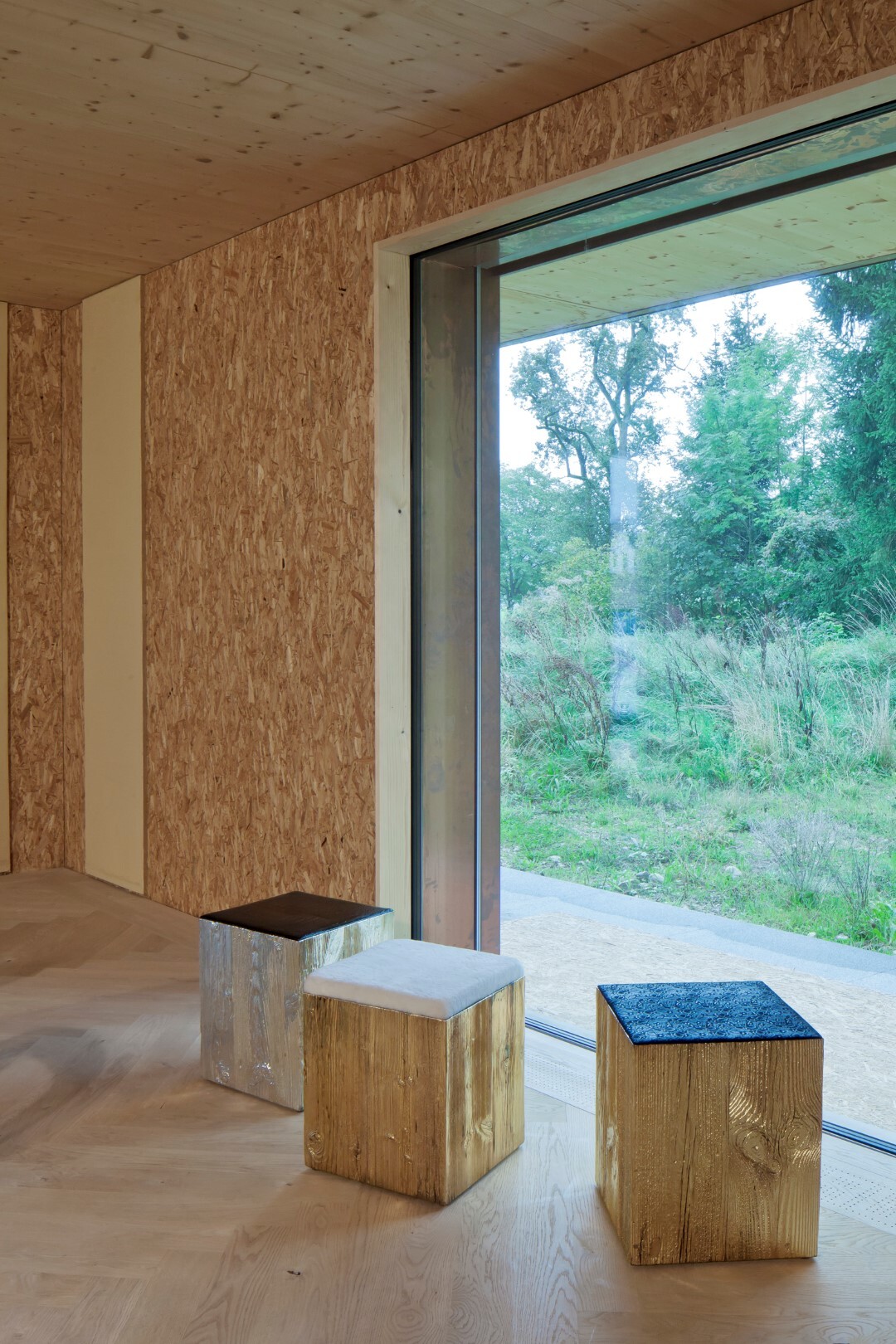 Ein Foto von Andrew Phelps