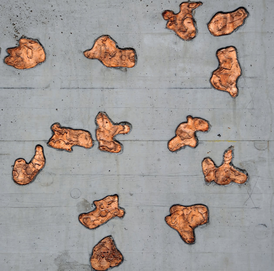 Ein Foto von Andrew Phelps