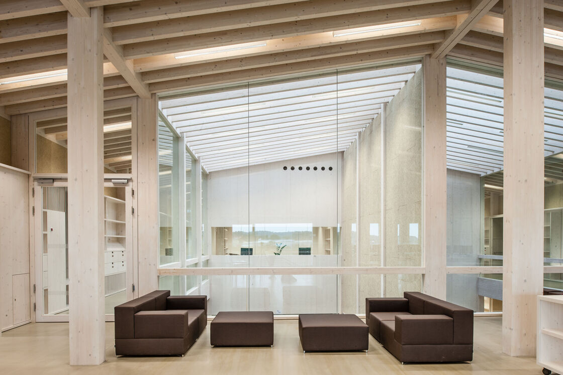 Ein Foto von Carolin Hirschfeld