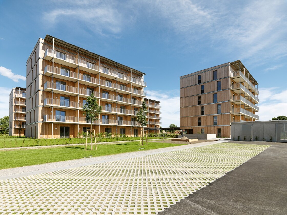 Ein Foto von Paul Ott