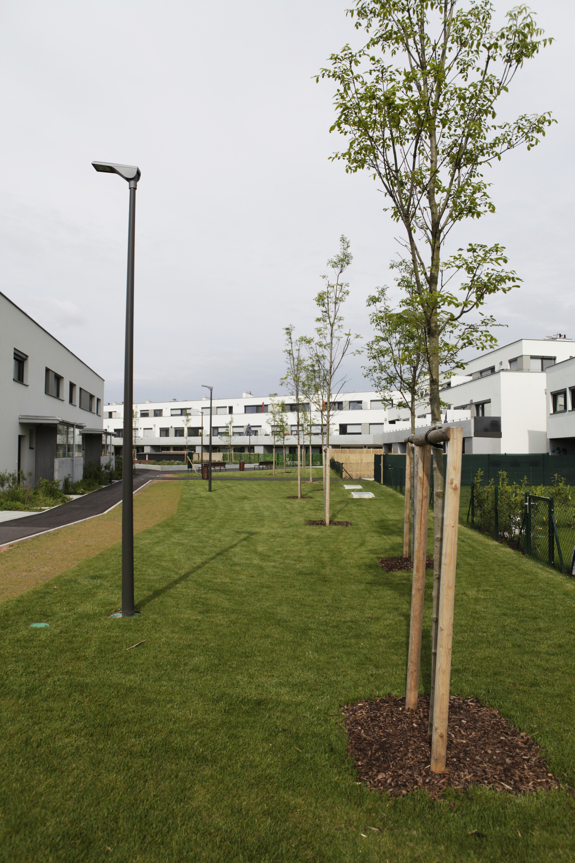 Ein Foto von Heinz Gerbl