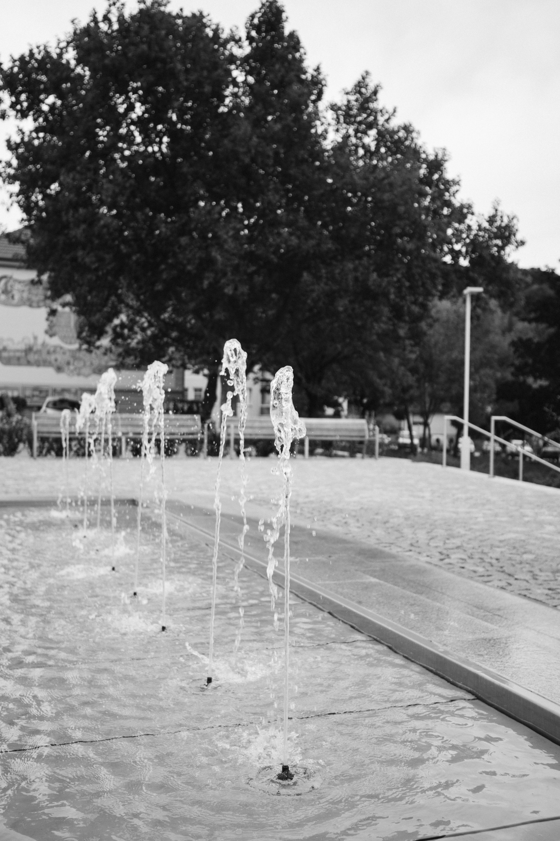 Ein Foto von Rainer Schoditsch
