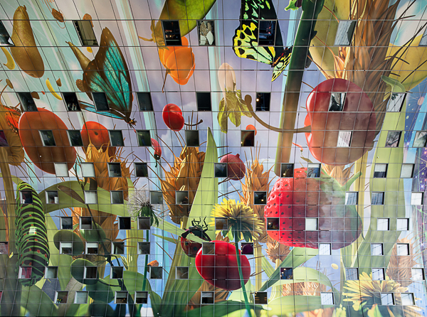 Ein Foto von Markus Kaiser