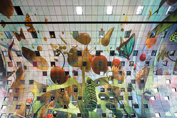 Ein Foto von Markus Kaiser