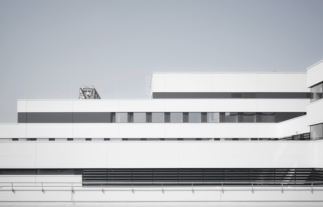 Ein Foto von Brigida Gonzalez