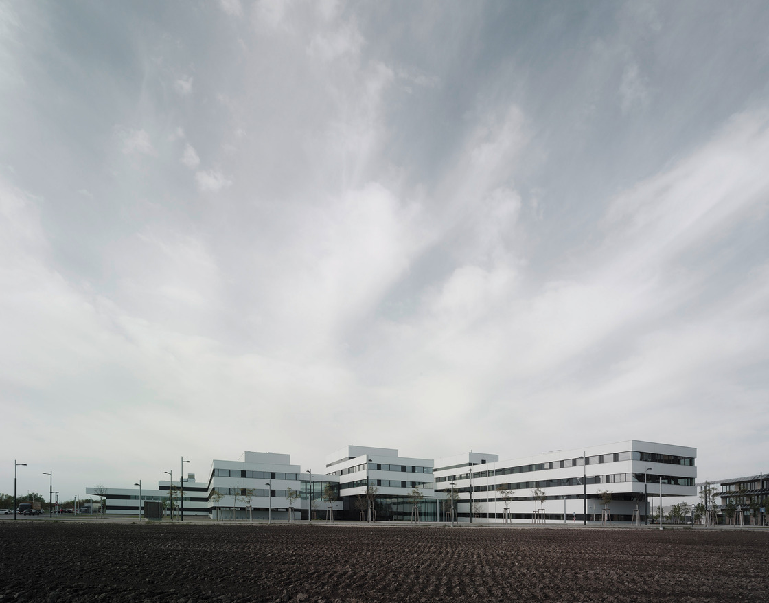 Ein Foto von Brigida Gonzalez