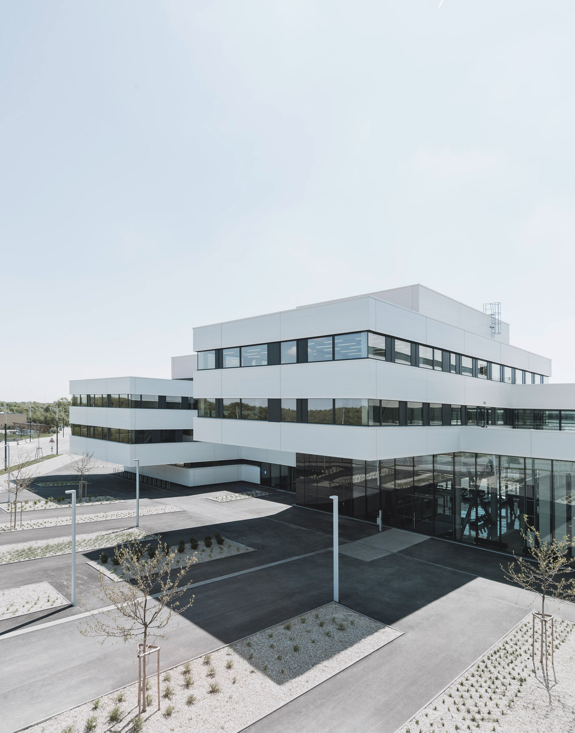 Ein Foto von Brigida Gonzalez