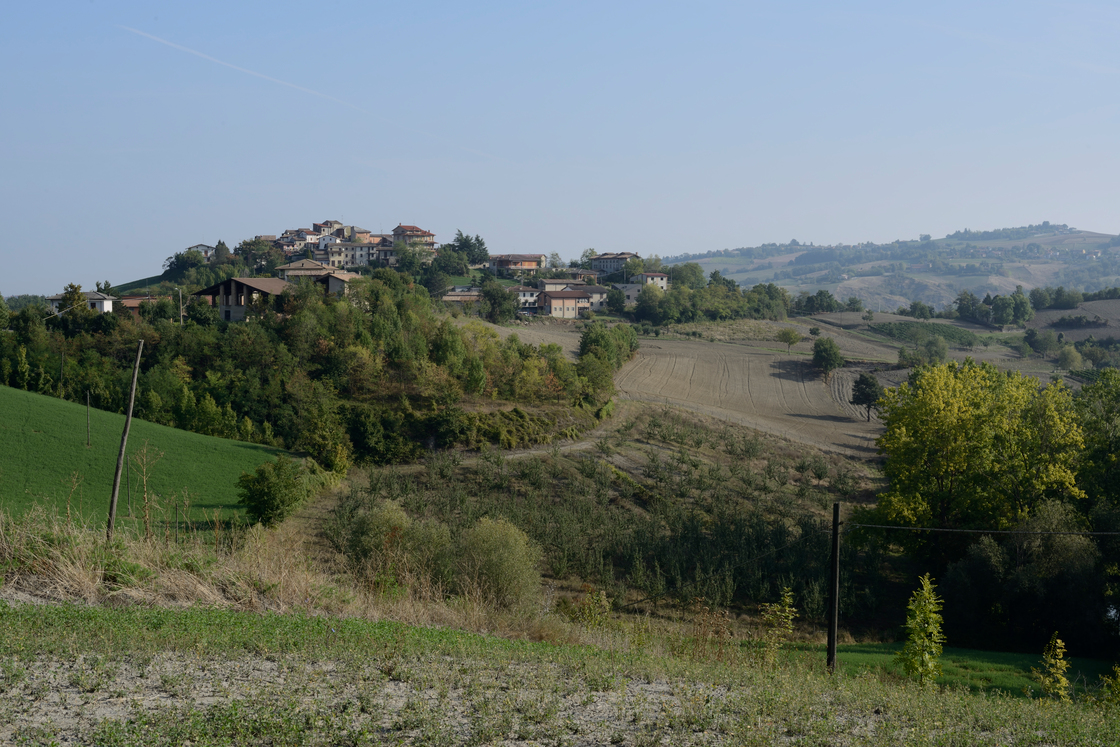 Ein Foto von Andrea Carmignola