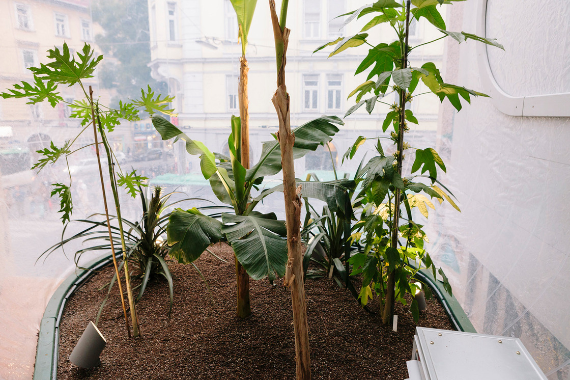 Ein Foto von Sebastian Reiser