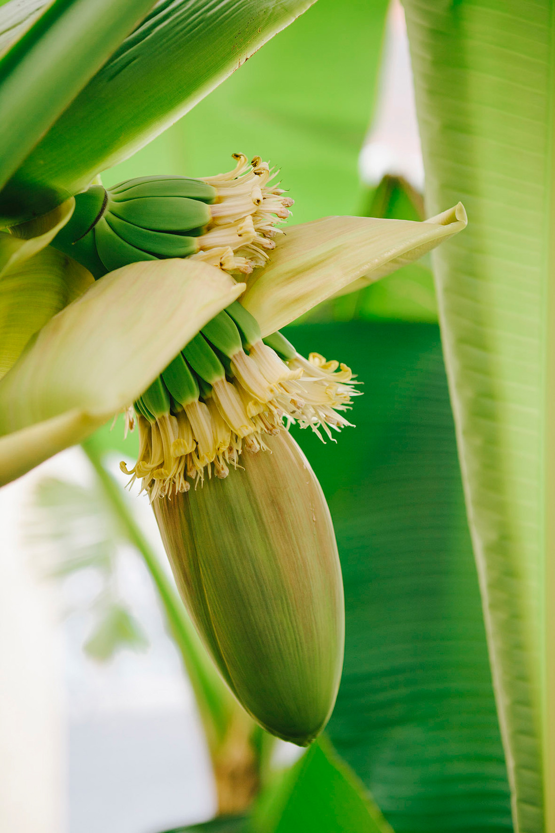 Ein Foto von Sebastian Reiser