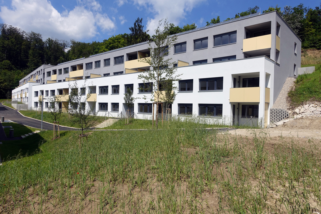 Ein Foto von Margarethe Cufer