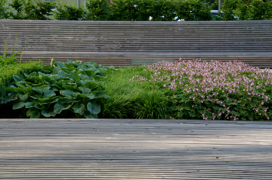 Ein Foto von Barbara Bacher