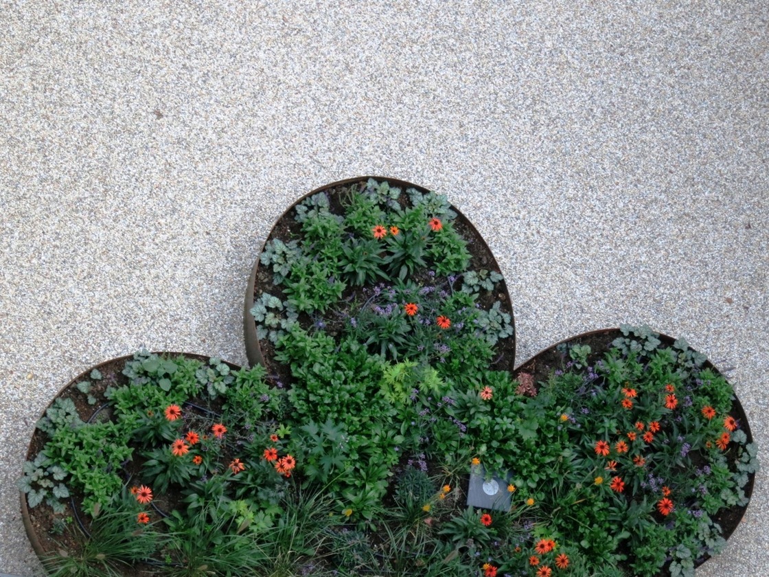 Ein Foto von Karin Standler