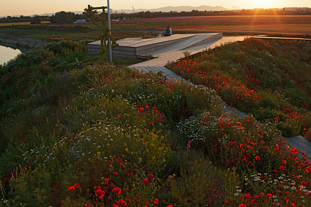 Ein Foto von Helge Schier
