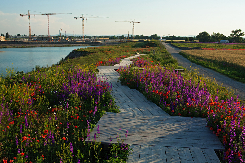 Ein Foto von Helge Schier
