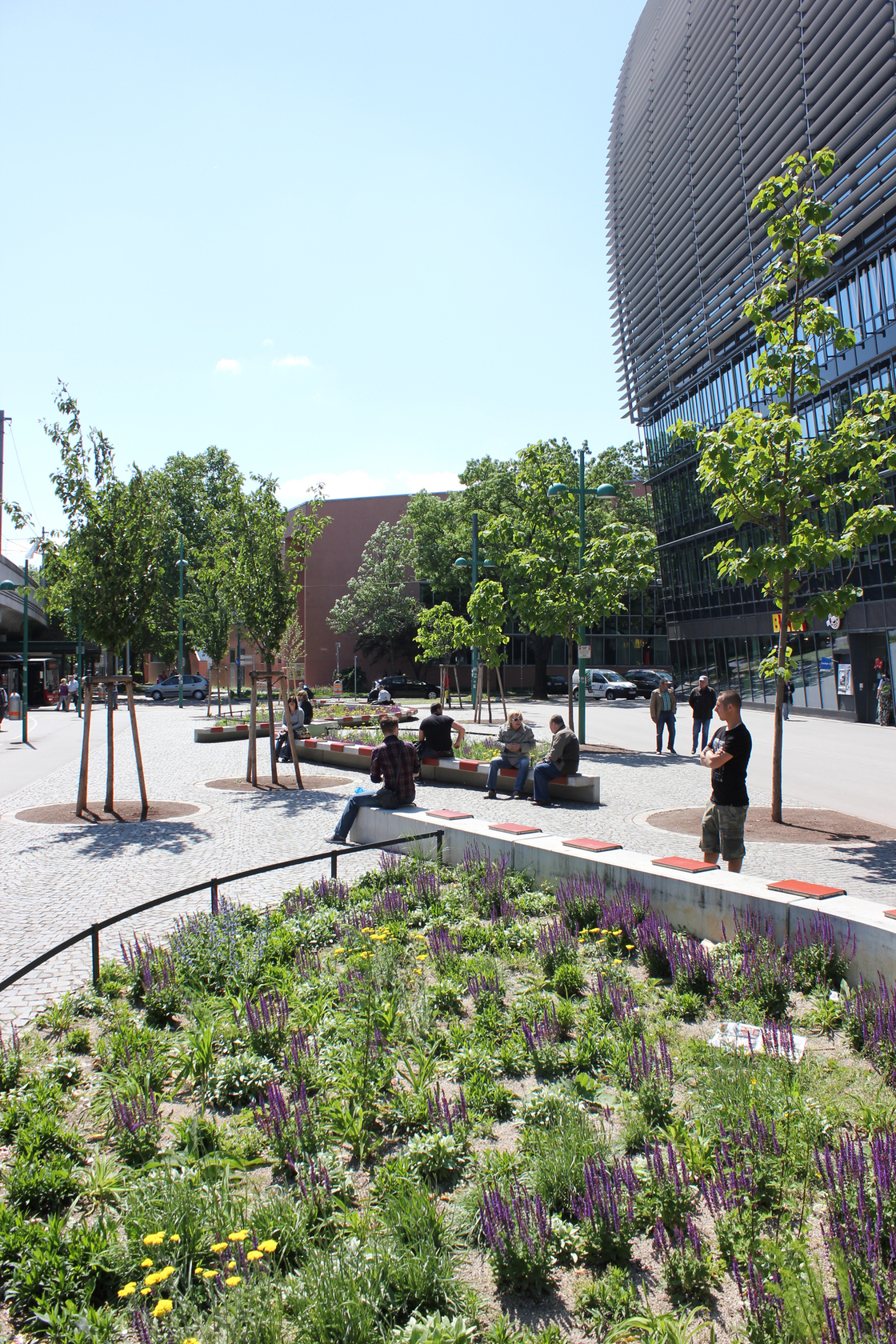 Ein Foto von Karin Standler